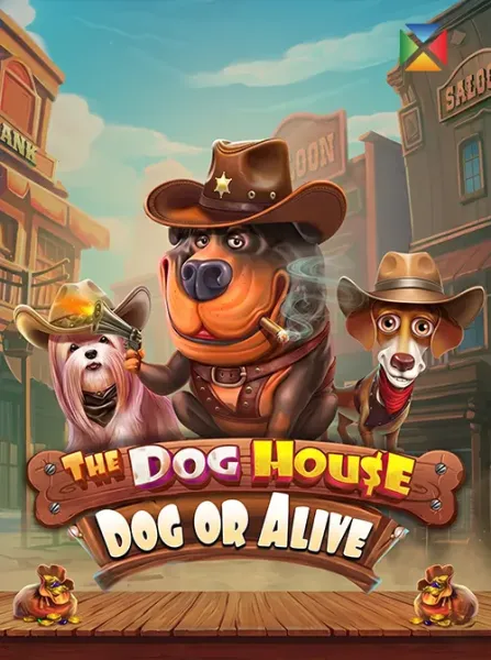 The Dog House – Dog or Alive