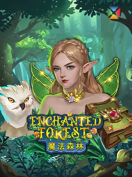 Enchanted Forest