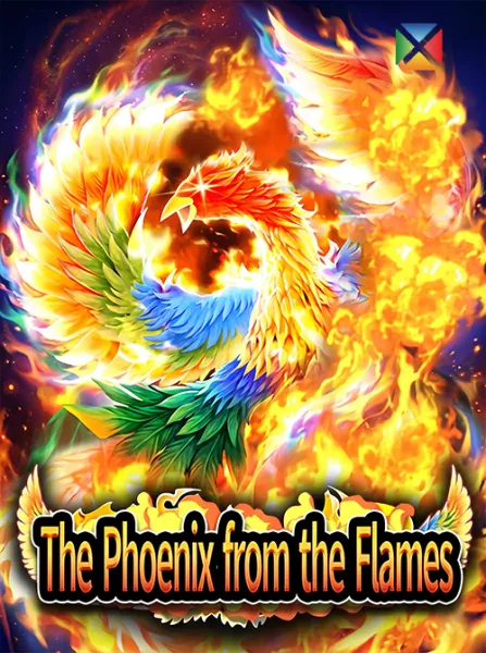 The Phoenix from the Flames
