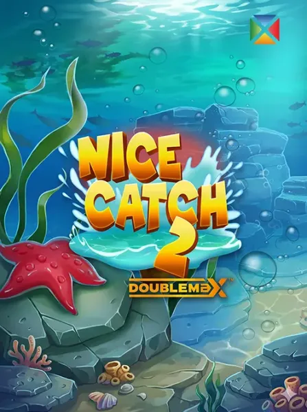 Nice Catch 2