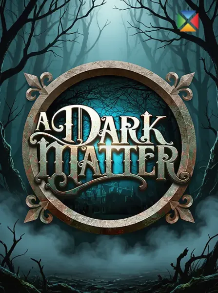 A Dark Matter