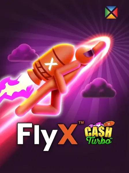 FlyX
