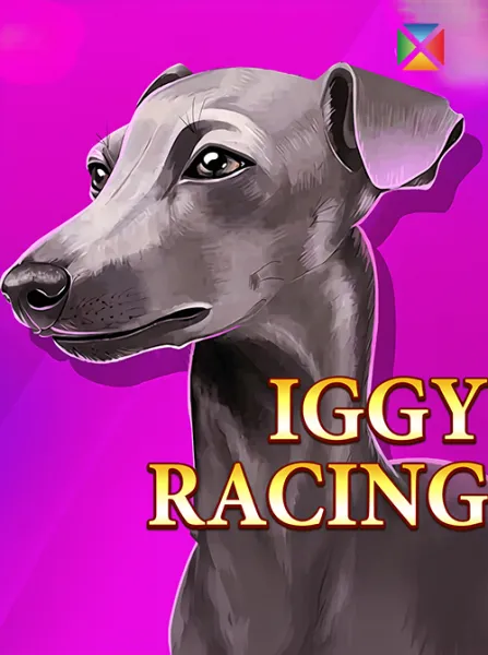 Iggy Racing