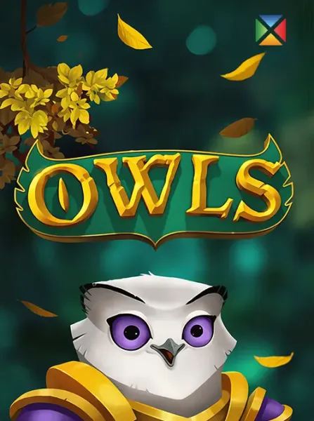 Owls