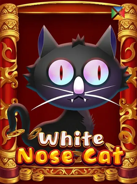 White Nose Cat