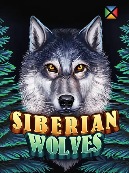 Siberian Wolves
