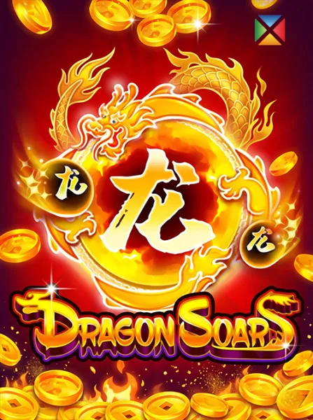 Dragon Soar