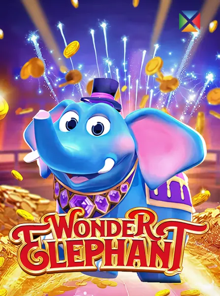 Wonder Elephant